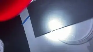 Planaria Light and Dark Experiments