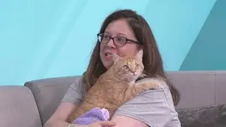 Sponsored Content: Shelter Spotlight: Popeye