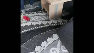 15 Şubat 2021
