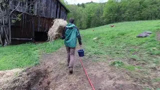 Rainy Day on the Homestead