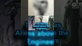 Who Created the Engineers & Alphas? 👽 | Alien & Predator Lore Explained