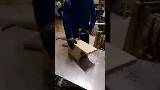 Fuglekasse Selvbygger
