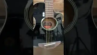 Yamaha APXT2