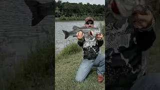 5 pounder #bass #fishing #outdoors