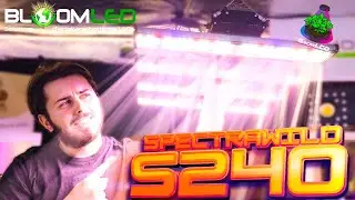 SpectraWILD S240 🔎 LED horticultural lighting for your indoor growing from BloomLED brand ! GrowLED
