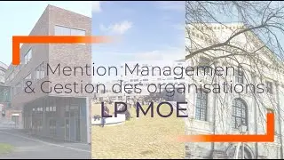Licence professionnelle Management Opérationnel des Entreprises