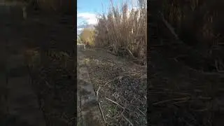 frecciarossa etr 500 verso Napoli in transito a isoletta