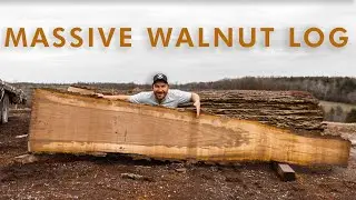 Woodworking Life - Saw milling a HUGE Walnut Log at Legacy Lumber