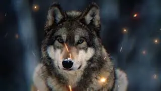 Dollypran x elgrandetoto type beat ''WOLF'' (Prod. @Smokeybeats)