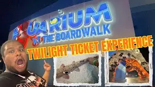 Aquarium at the Boardwalk Branson MO | Twilight Experience -Why You Need to Visit at Night! |S3 E31|