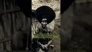 🤯 The Afro Hairstyle: Unlocking Its Untold Secrets💈 #barber #haircut #afrohair #history