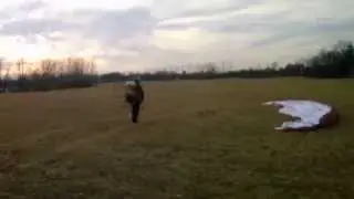 Fan in flying on friday .