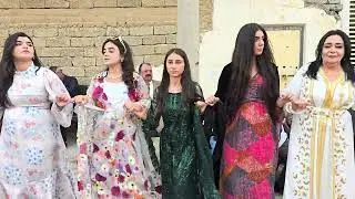 هيفارا توافا شيشمس 8.5.2025