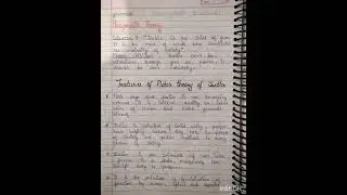 Plato's Theory of Justice#                           (Plato's views)