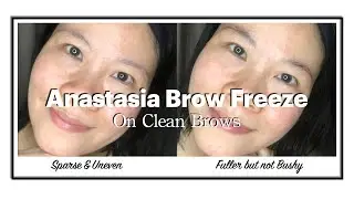 Eyebrow Gel Mascara (Clear) Anastasia Brow Freeze Styling Wax Review