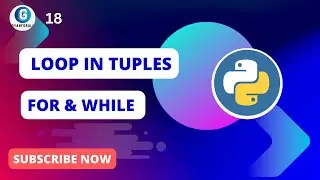 loop in tuple python