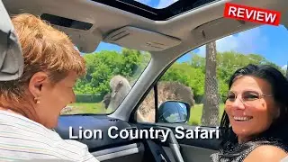 Take a Tour of Lion Country Safari: The Drive-Through Zoo in West Palm Beach!