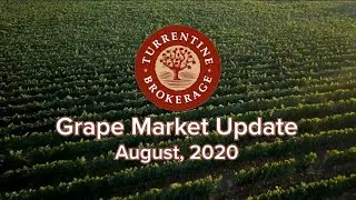 Turrentine Grape Market Update, Aug 2020