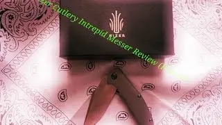 Kizer Intrepid - Ki4468 EDC Messer Review