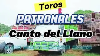 Toros en Patronales de Canto del Llano 3 de septiembre 2023