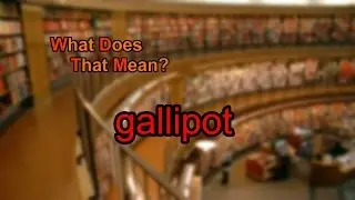 What does gallipot mean?