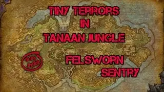Felsworn Sentry - Tiny Terrors in Tanaan