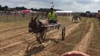 Course d'ânes attelés à gisay la coudre dans Eure