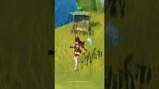 Baron Bunny Is More Useful Than You Think | Genshin Impact