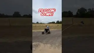212 cc predator engine | 50+ MPH #minibike #212cc #foryoupage #bikerace #doodlebug