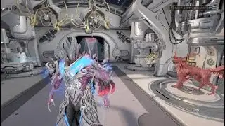 Warframe: Helping Boat find a Seller for Primed Continuity and Advising him about Pricing.