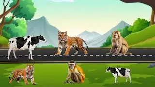 🐅 Tiger, 🐄 Cow, 🐒 Monkey Magic VFX Superpower Video | Amazing Visual Effects #shorts