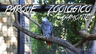 🇪🇸 PARQUE ZOOLOGICO - AYAMONTE - HUELVA - ESPAÑA #9 - 2016 - Vlog, Turismo, Documental