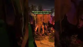 TEXAS HAS THE ONLY RAINFOREST CAF&Eacute; RIDE IN THE WORLD! 🌴