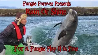 FUNGIE FOREVER - Rain Or Shine