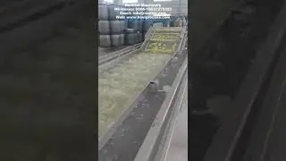 Automatic Kiwi Fruit Sorting Washing Machine