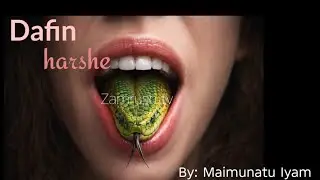 DAFIN HARSHE....02