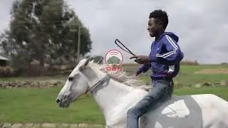 SEENAA  MAGAALAA SAGUREE