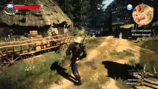 Gwent Glitch Makes Trophy Unobtainable - The Witcher 3