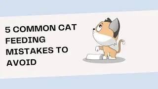 5 Common Cat Feeding Mistakes to Avoid for Optimal Feline Health and Wellness