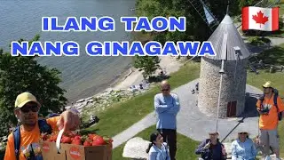 EP268- Strawberry Picking | At Pinakalumang Gilingang Hangin