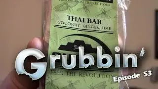 Chapul Cricket Bars - Grubbin' with Cult Moo Ep.53