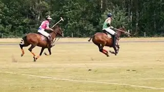 Cheshire Polo Club