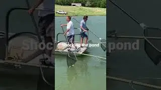 Shocking the pond for fish.