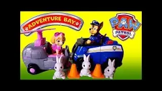 Paw Patrol Adventure Bay Rescue Animal Rescue Set Chase & Skye Toys R Us Exclusive