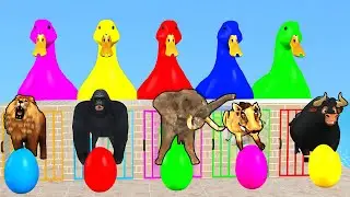 Long Slide Game With Hippo Lion Kingkong Bull Elephant 3d Animal Game Funny 3d Animals