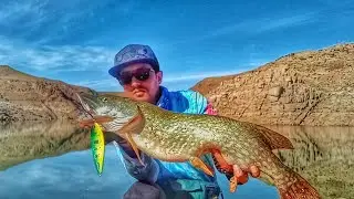 Maroc lac Aguelmame Sidi Ali et barrage Hassan 2  midelt(brochet&perche& black bass)