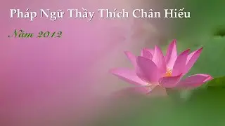 181. Tổ Ấn Quang dạy người bệnh; Tình người và đạo; Hộ niệm - Thầy Thích Chân Hiếu - 2012