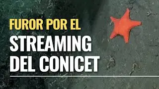 FUROR por el STREAMING del CONICET desde MAR DEL PLATA | En el fondo del mar 🐙🦑