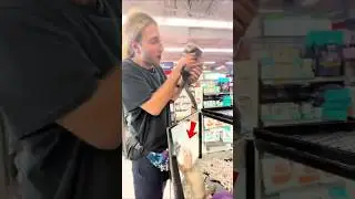 Ferret Reunion Melts Hearts ❤️🦦
