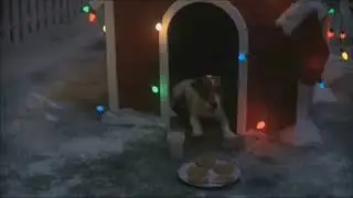 NATAL